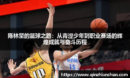 今年会陈林坚的篮球之路：从青涩少年到职业赛场的辉煌成就与奋斗历程